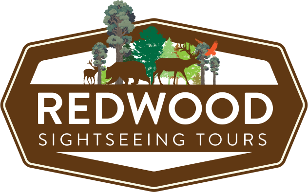 Redwood SightSeeing Tours